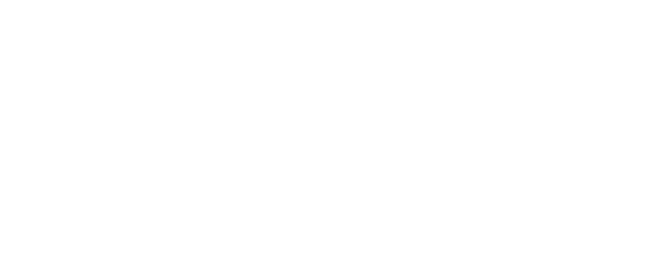 Precise Electric Service Logo